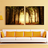 Order canvas posters on wooden stretcher frames