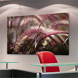Order landscape canvas posters