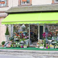 Promotional materials for retail stores