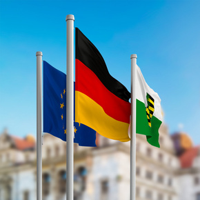 Flags for public institutions