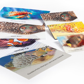 Sample Materials Unprinted