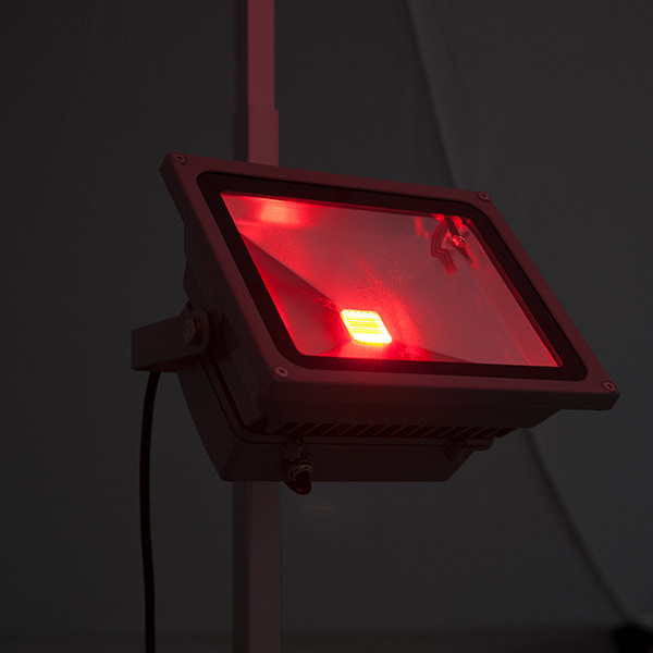 LED Floodlight RGB: high luminous intensity and energy-efficient, color example red