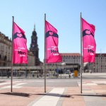 Vertical Feather Flags