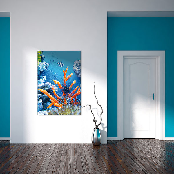 Floating Frame Q-Frame®: the stylish picture frame for any home