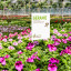 Lawn Signs with current offers, e.g in garden center