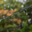 LEDs bei Tag