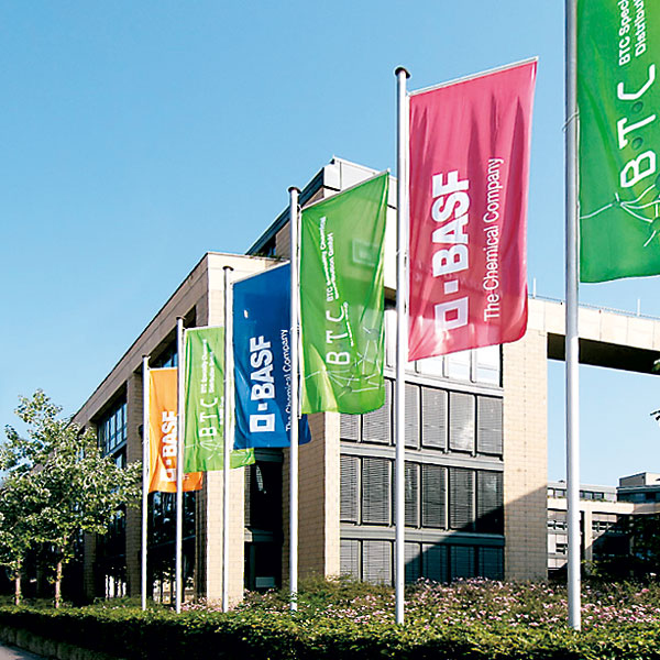 Flags with flag presenter