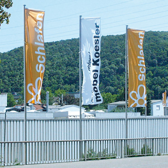 Flags with independent banner arm (presenter)