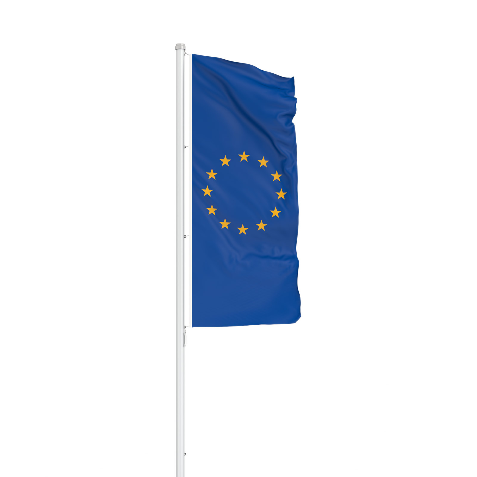Custom Flags: Flag in Portrait Format, Council of Europe/EC
