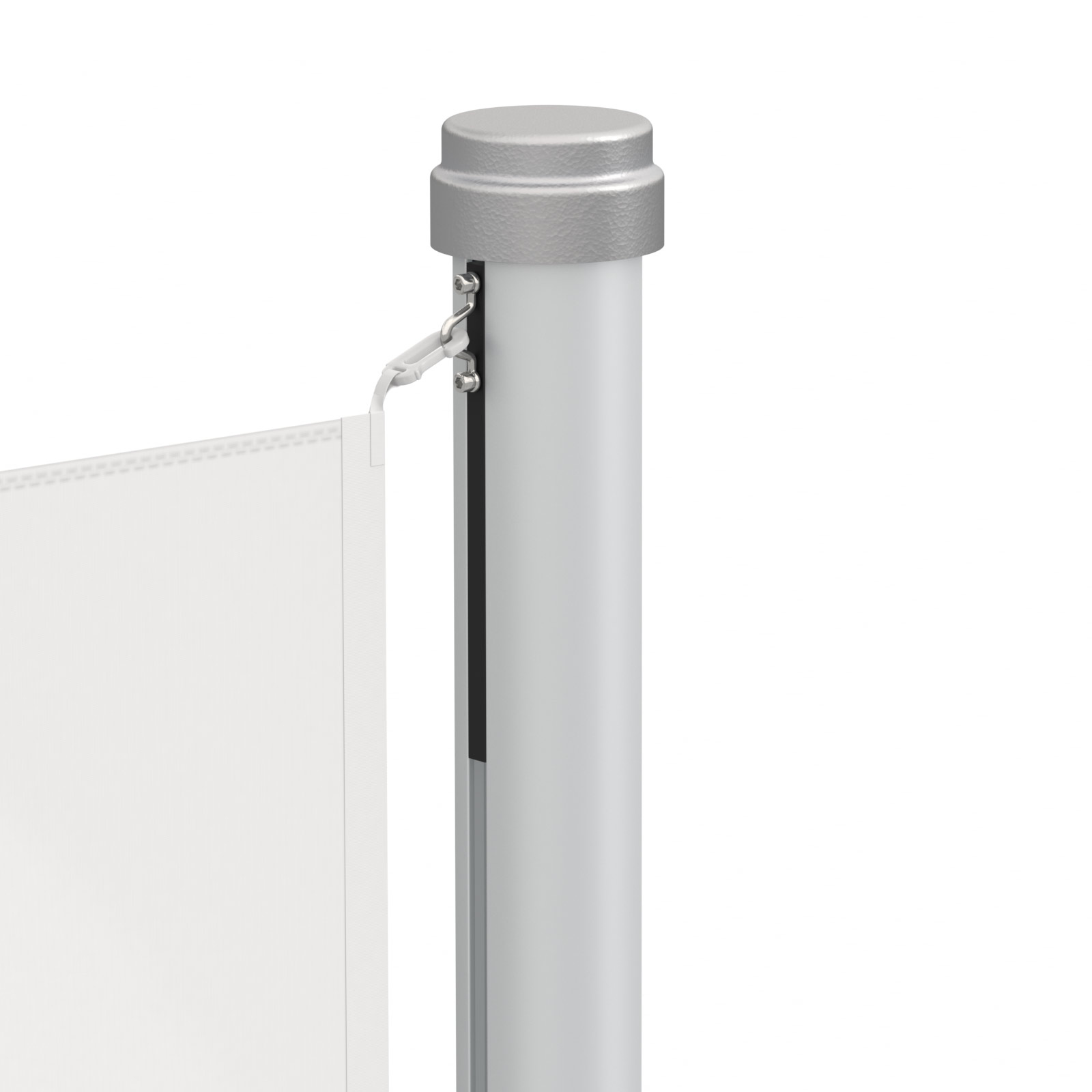 Select Presenter Flag, Top Detail View