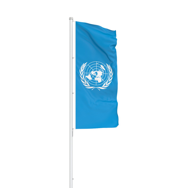 Special flags: portrait flag, UN