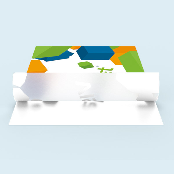 Frosted glass film: design printed in white on the reverse side, unprinted areas translucent