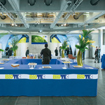 Long table cover (side seam closed) for promotion and trade fairs