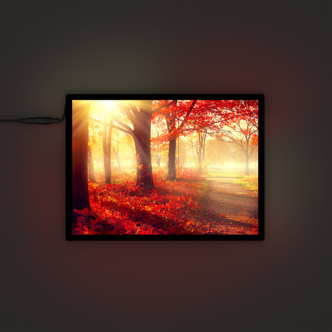 LED Poster Frame - High-Intensity LED Technology for Radiant Images
