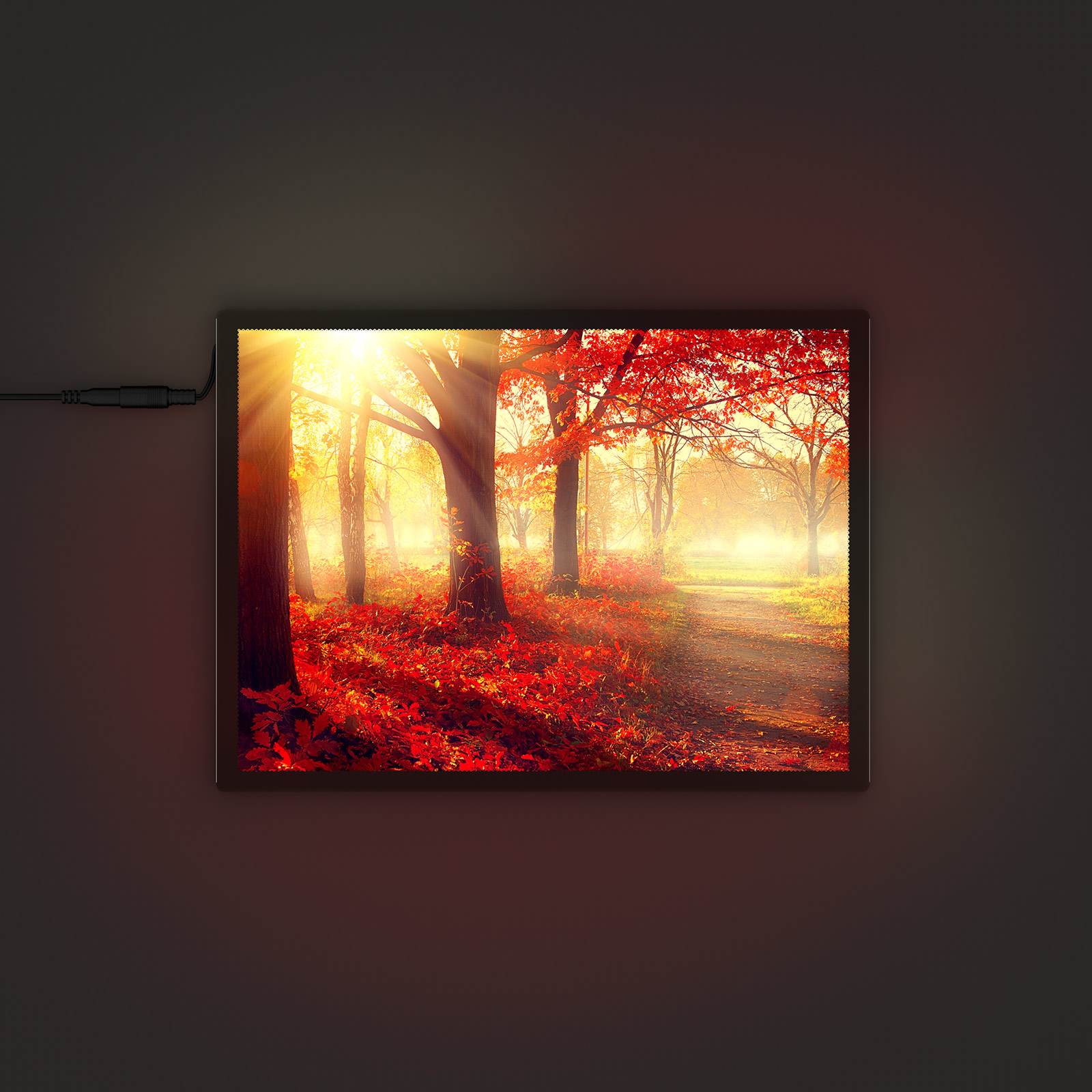 LED Poster Frame - High-Intensity LED Technology for Radiant Images