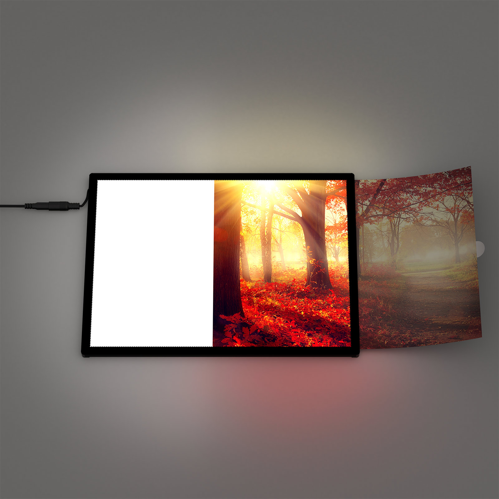 LED poster frame, effortless print replacement, slide in & done