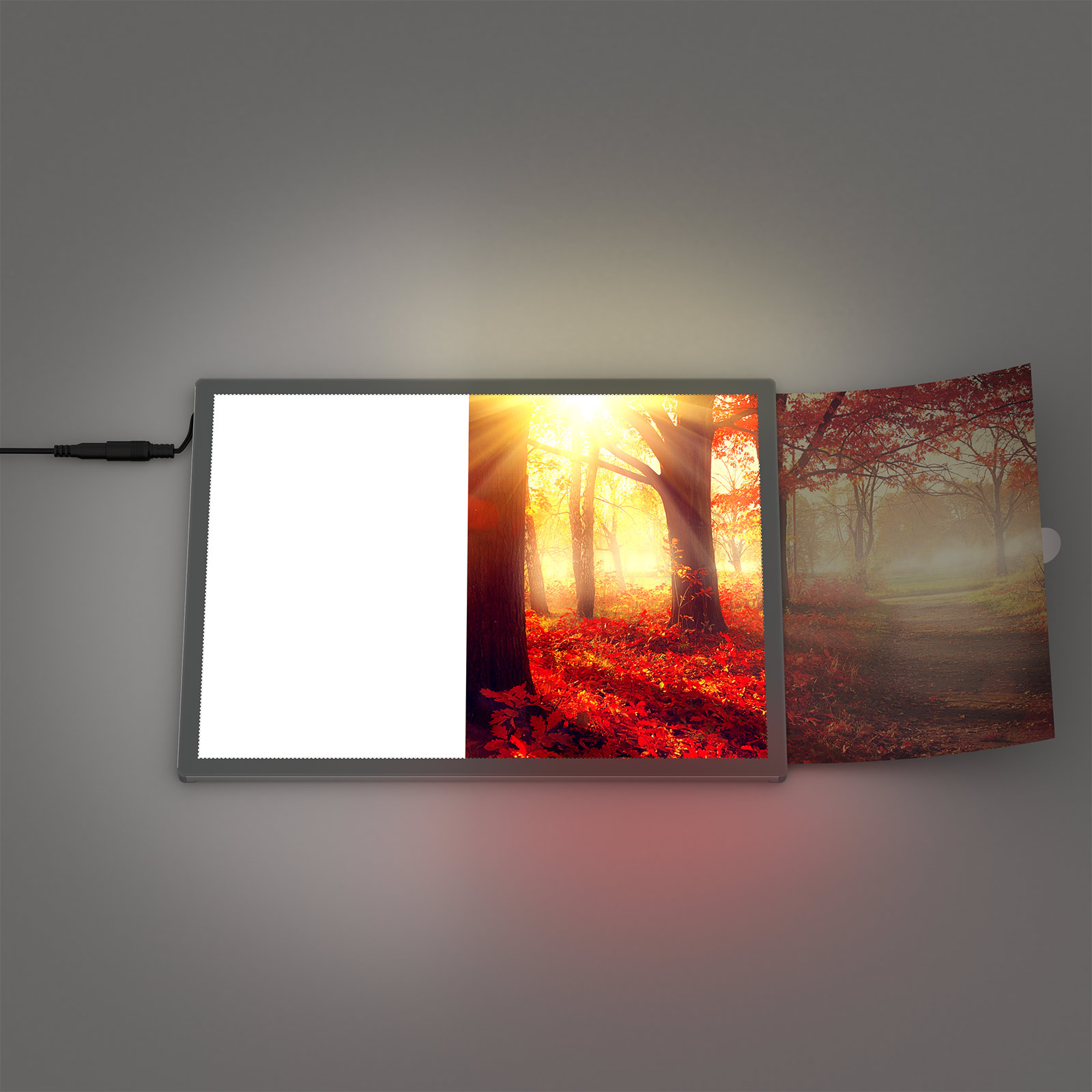 LED poster frame, effortless print replacement, slide in & done