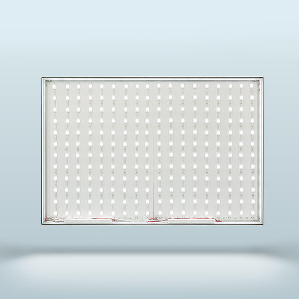 Lightbox Q-Frame® LED, 50 mm profile, without printed panel