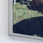 Wall frame Q-Frame®, square, profile 25 mm