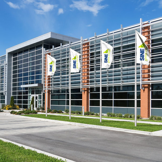 Vertical Feather Flags for Corporate Advertising