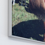 Wall frame Q-Frame®, square, 15 mm profile