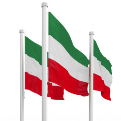 Design and order car flag