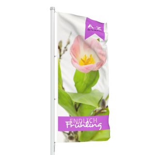 Spring hanging flag