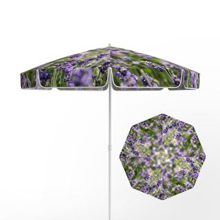 Sun Umbrella Lavender