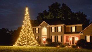 Fairybell® Christmas tree in a garden