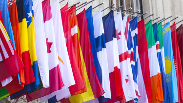 Country flags in many versions