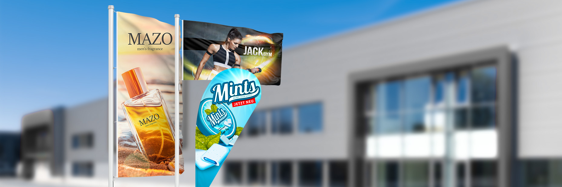 Flags in various designs